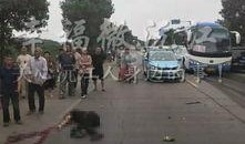 新疆伊吾最新爆料事件,揭秘神秘事件背后的真相